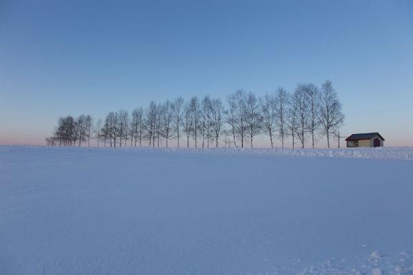 翻訳者になるには。私が今までしてきたこと その7 日本に帰国→北海道で田舎暮らし