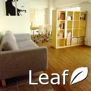 リーフ英会話(Leaf English School)